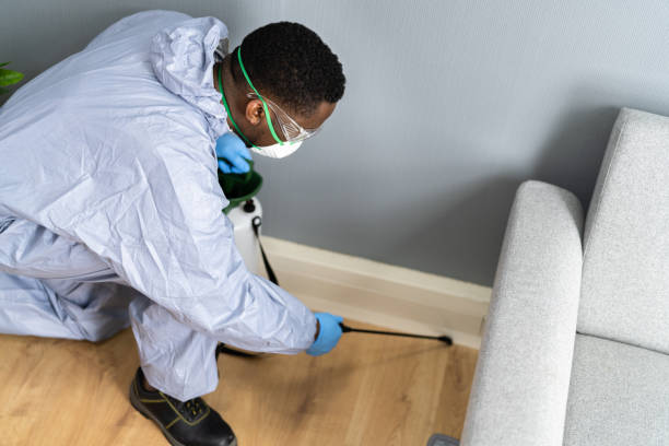 Professional Pest Control in Port Byron, IL